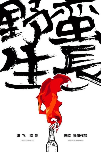 抵达之谜的海报-其他海报