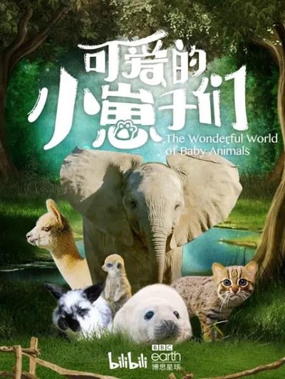 可爱的小崽子们的海报-正式海报