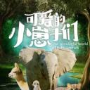 可爱的小崽子们