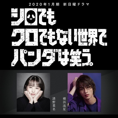 在不白不黑的世界里，熊猫笑了的海报-预告海报