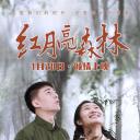 红月亮森林