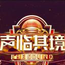 声临其境 第三季