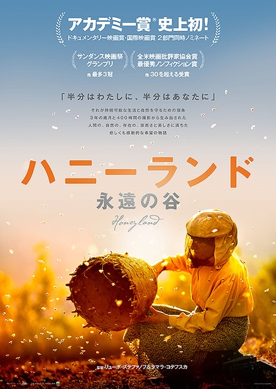 蜂蜜之地的海报-正式海报 日本