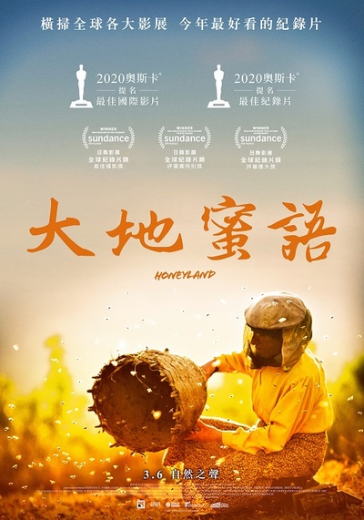 蜂蜜之地的海报-正式海报 中国台湾