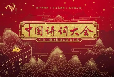 中国诗词大会 第五季的海报-预告海报