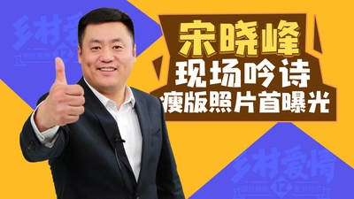 乡村爱情12的海报-其他海报 中国大陆