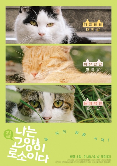 我是猫的海报-正式海报