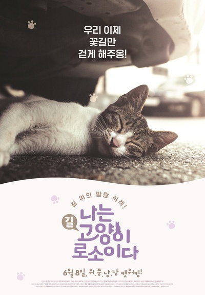 我是猫的海报-正式海报 韩国