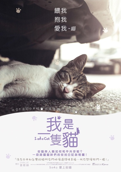 我是猫的海报-其他海报 台湾