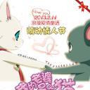 我的老婆是只猫