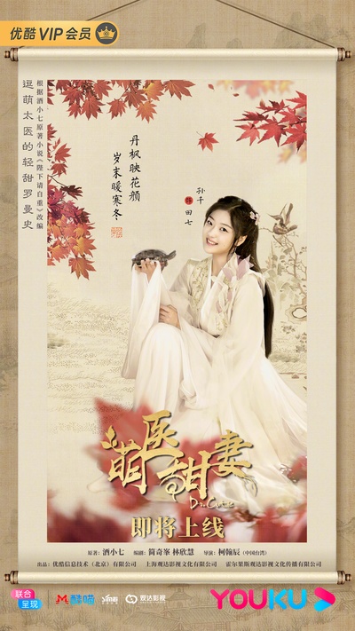 萌医甜妻的海报-角色海报