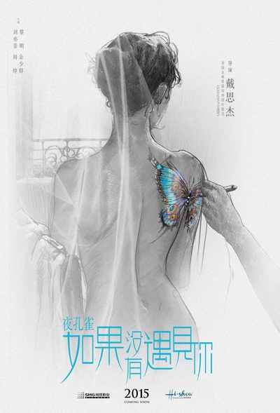 夜孔雀的海报-预告海报 中国大陆