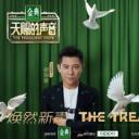 天赐的声音