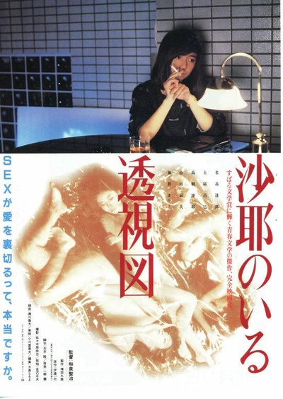 沙耶透视图的海报-正式海报
