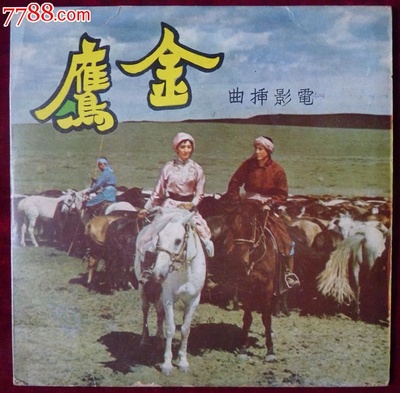 金鹰的海报-其他海报