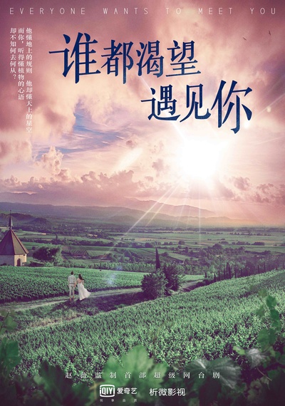 谁都渴望遇见你的海报-预告海报 中国大陆