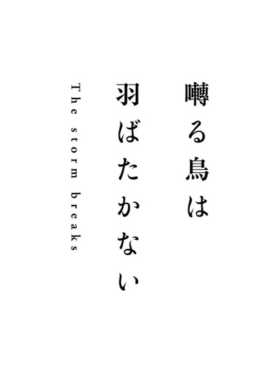鸣鸟不飞2：风暴来临的海报-正式海报