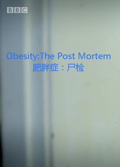 解剖肥胖的海报-正式海报