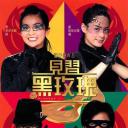 见习黑玫瑰