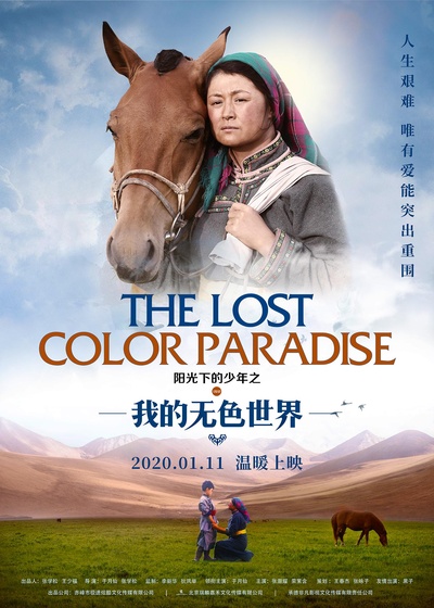 阳光下的少年之我的无色世界的海报-正式海报