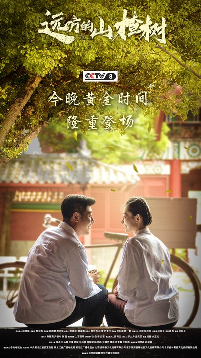 远方的山楂树的海报-预告海报