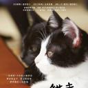 为什么猫都叫不来
