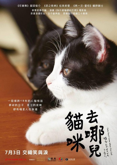 为什么猫都叫不来的海报-正式海报 香港