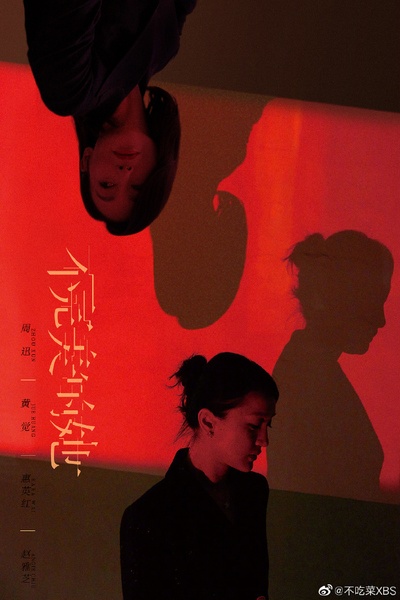 不完美的她的海报-其他海报 中国大陆