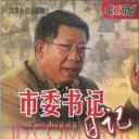 市委书记日记