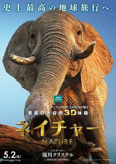 魔法王国的海报-正式海报
