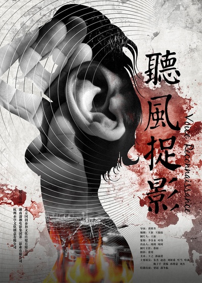 听风捉影的海报-正式海报