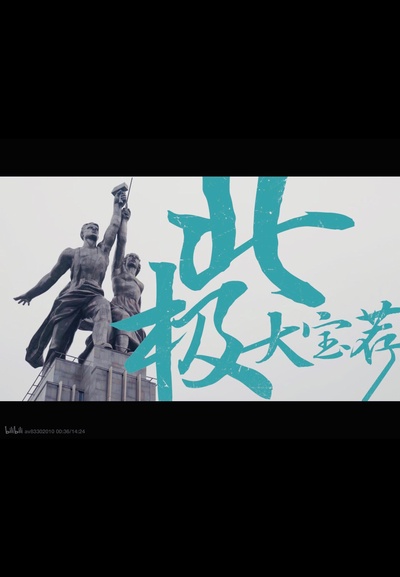 北极大宝荐的海报-正式海报