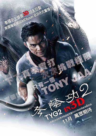 冬荫功2：拳霸天下的海报-预告海报 香港