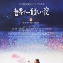 世界上最美的一夜