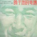 鸽子迷的奇遇
