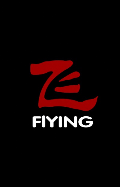 飞的海报-其他海报