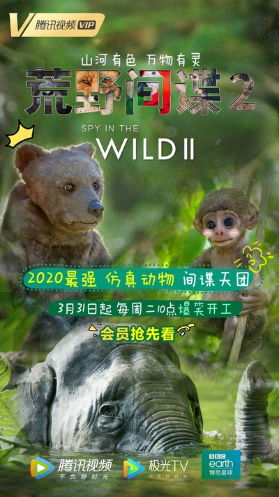 荒野间谍 第二季的海报-正式海报 中国大陆
