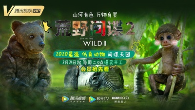 荒野间谍 第二季的海报-预告海报 中国大陆