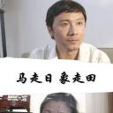 马走日 象走田