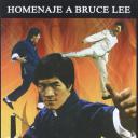 咏春截拳