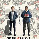 家族的故事