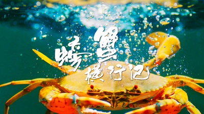 风味人间 第二季的海报-角色海报 中国大陆