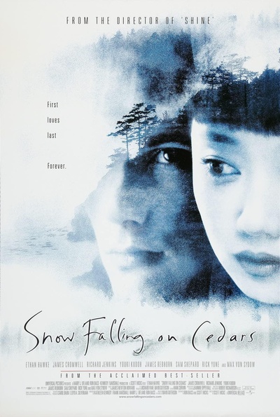落在香杉树的雪花的海报-正式海报
