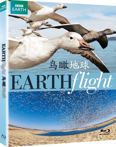 鸟瞰地球的海报-其他海报