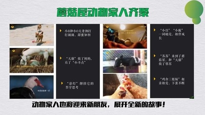 向往的生活 第四季的海报-预告海报 中国大陆