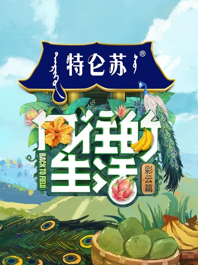 向往的生活 第四季的海报-正式海报