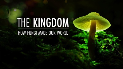 真菌如何造就世界的海报-正式海报
