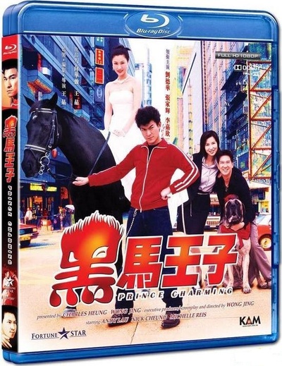 黑马王子的海报-其他海报