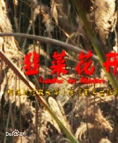 韭菜花开的海报-正式海报