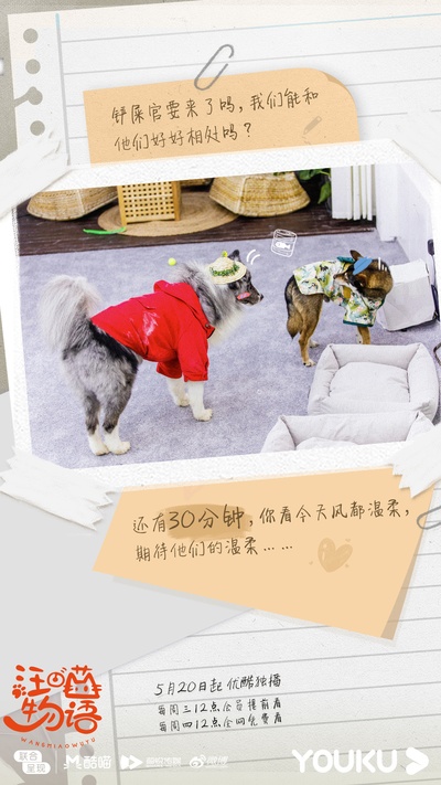 汪喵物语的海报-预告海报